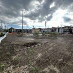 5号地北東側から全景を撮影した写真